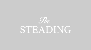 the_Steading_logo